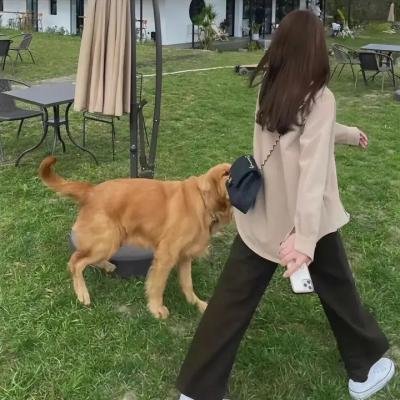 宝莲历险记